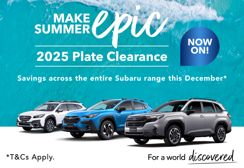 2025 Plate Clearance